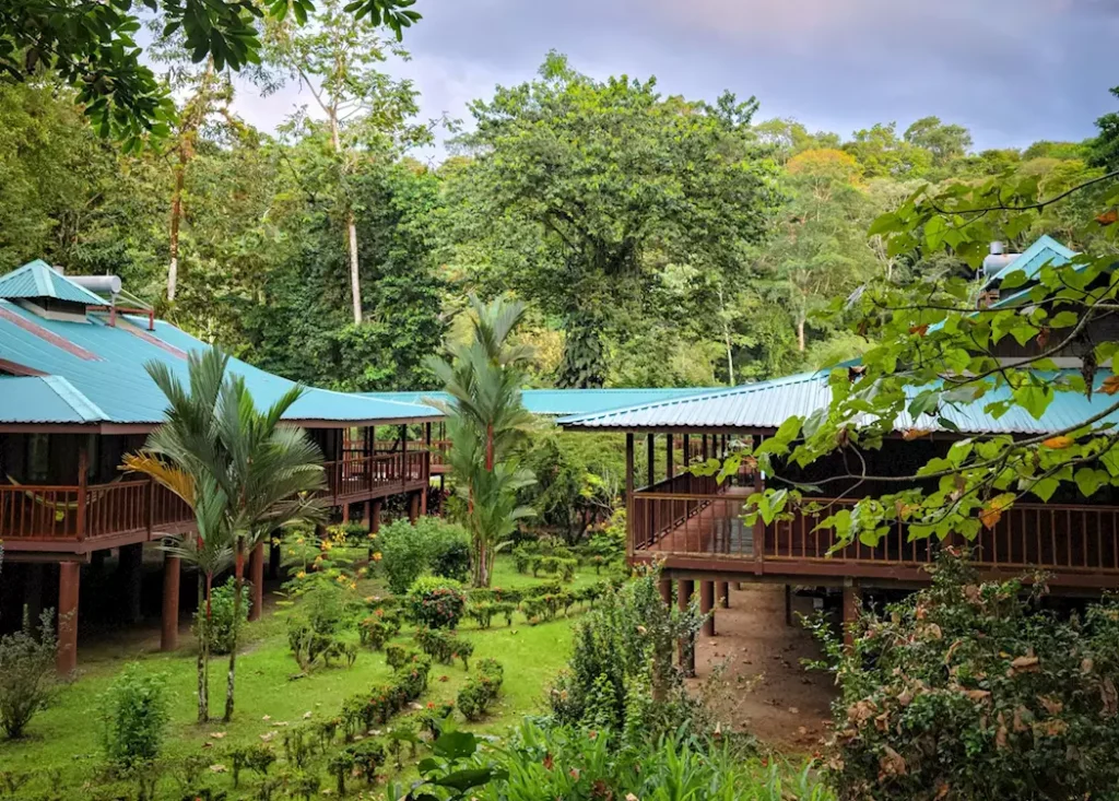 selva verde lodge costa rica