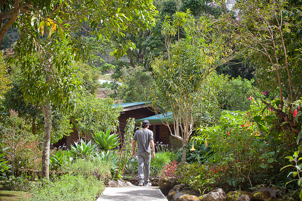 Garden path and cabins at Savegre Lodge in San Gerardo de Dota, Costa Rica.