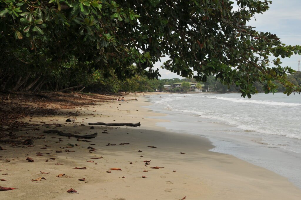 Caribbean shoreline and coastal vegetation in Cahuita National Park, Costa Rica.