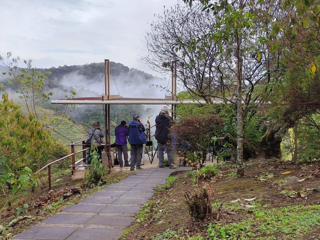 Visitors photographing birds from the viewing platform at Batsú Gardens, San Gerardo de Dota.