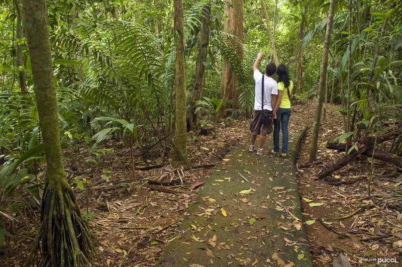 Visitors on a rainforest trail at La Selva Biological Station, Sarapiquí.