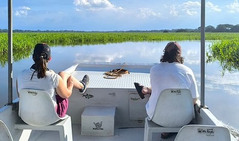Guests viewing wetlands from a Caño Negro Experience boat.