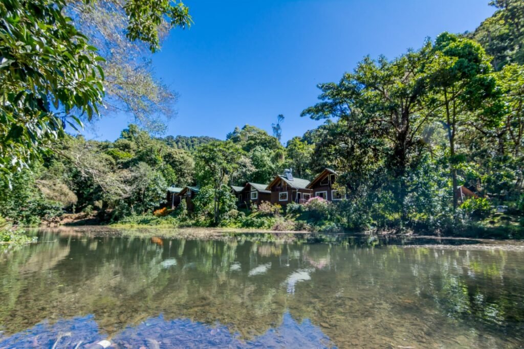 Lake and surrounding gardens at Sueños del Bosque Lodge in San Gerardo de Dota.