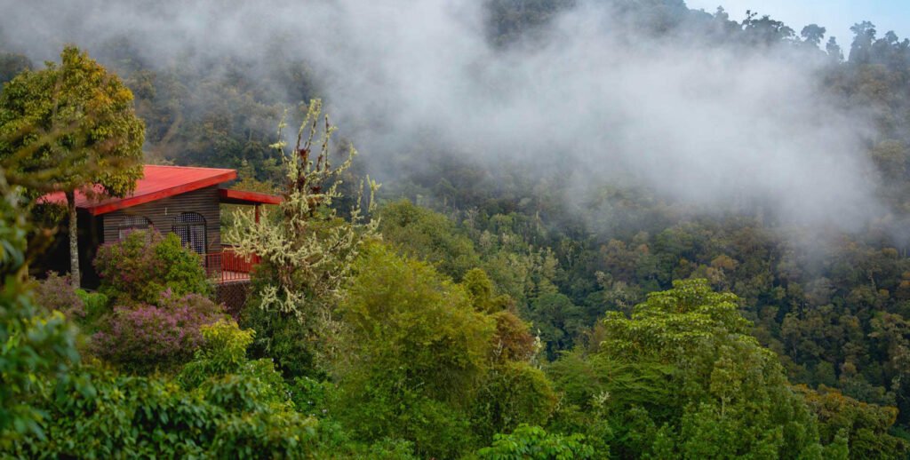 Paraíso Quetzal Lodge bungalow surrounded by misty cloud forest.